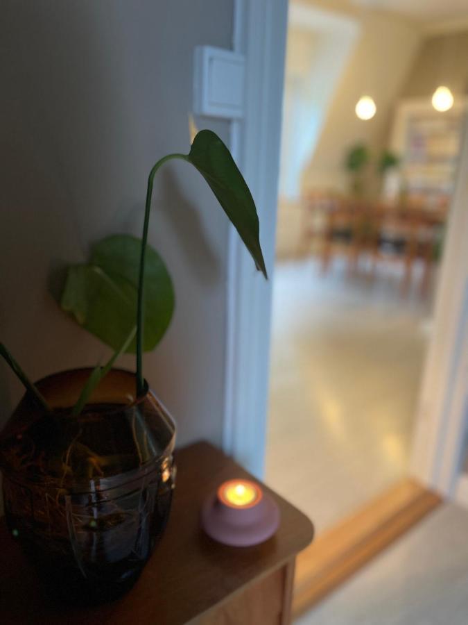 Charming Apartment In Alesund Center With Free Parking المظهر الخارجي الصورة